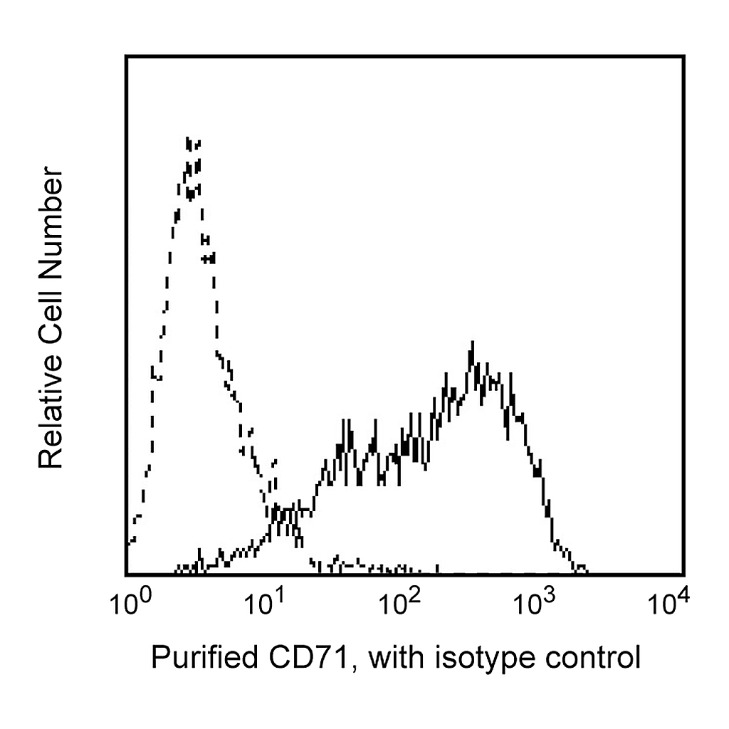 BD Purified Mouse Anti-Human CD71