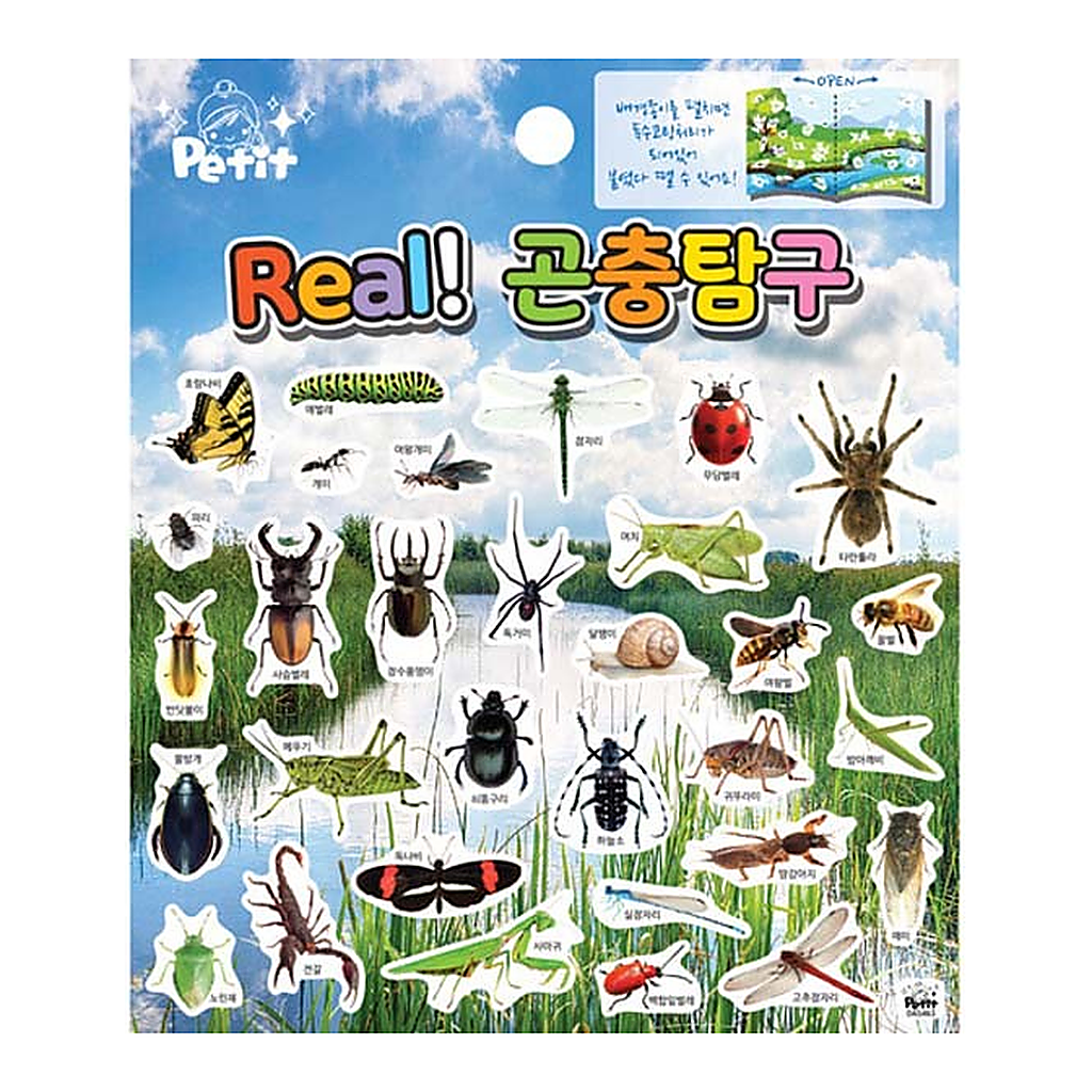 OFFICENEX DA5463 REAL!곤충탐구