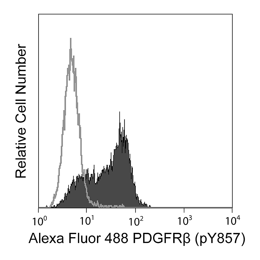 BD Alexa Fluor® 488 Mouse anti-PDGFRβ (CD140b) (pY857)