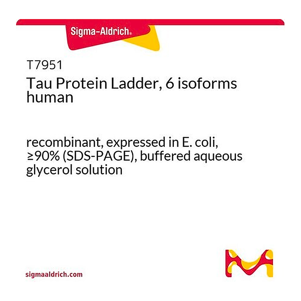 Merck Tau Protein Ladder, 6 isoforms human