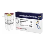 Thermo Fisher Scientific Nt.Bpu10I (5 U/μL)