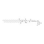 Merck DSPE-PEG(2000) CYANUR