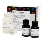 Thermo Fisher Scientific Pierce Quantitative Colorimetric Peptide Assay, 500 Assays