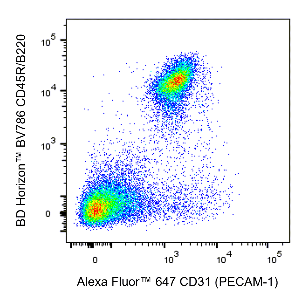 BD Alexa Fluor 647 Rat Anti-Mouse CD31 (PECAM-1)