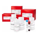 Merck AMYLASE ACTIVITY ASSAY KIT