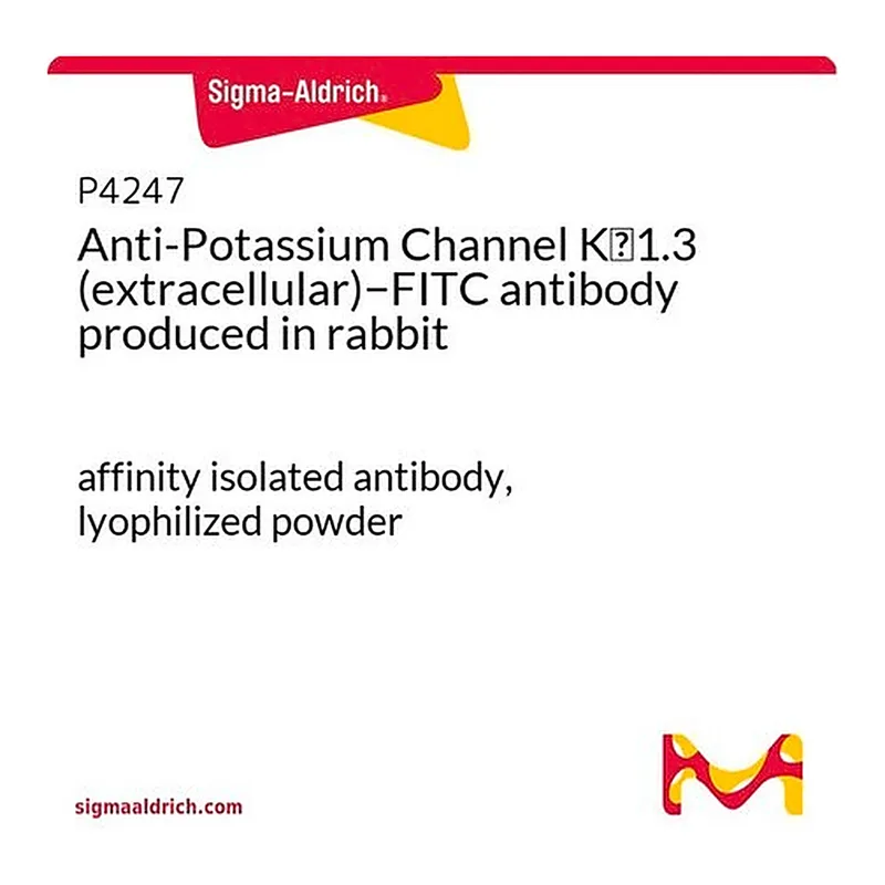 Merck Anti-Potassium Channel Kv1.3 (extracellular)-FITC antibody produced in rabbit