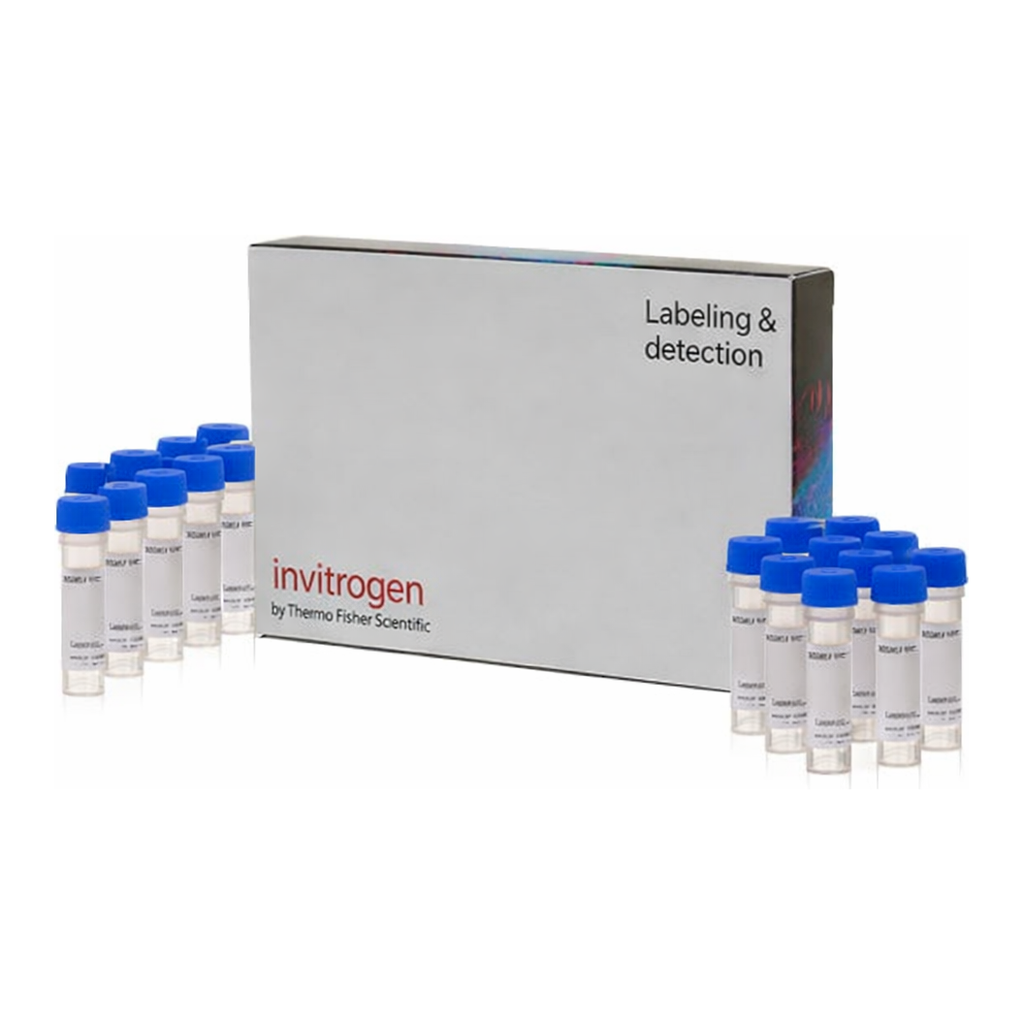 Thermo Fisher Scientific LysoTracker Yellow HCK-123, special packaging