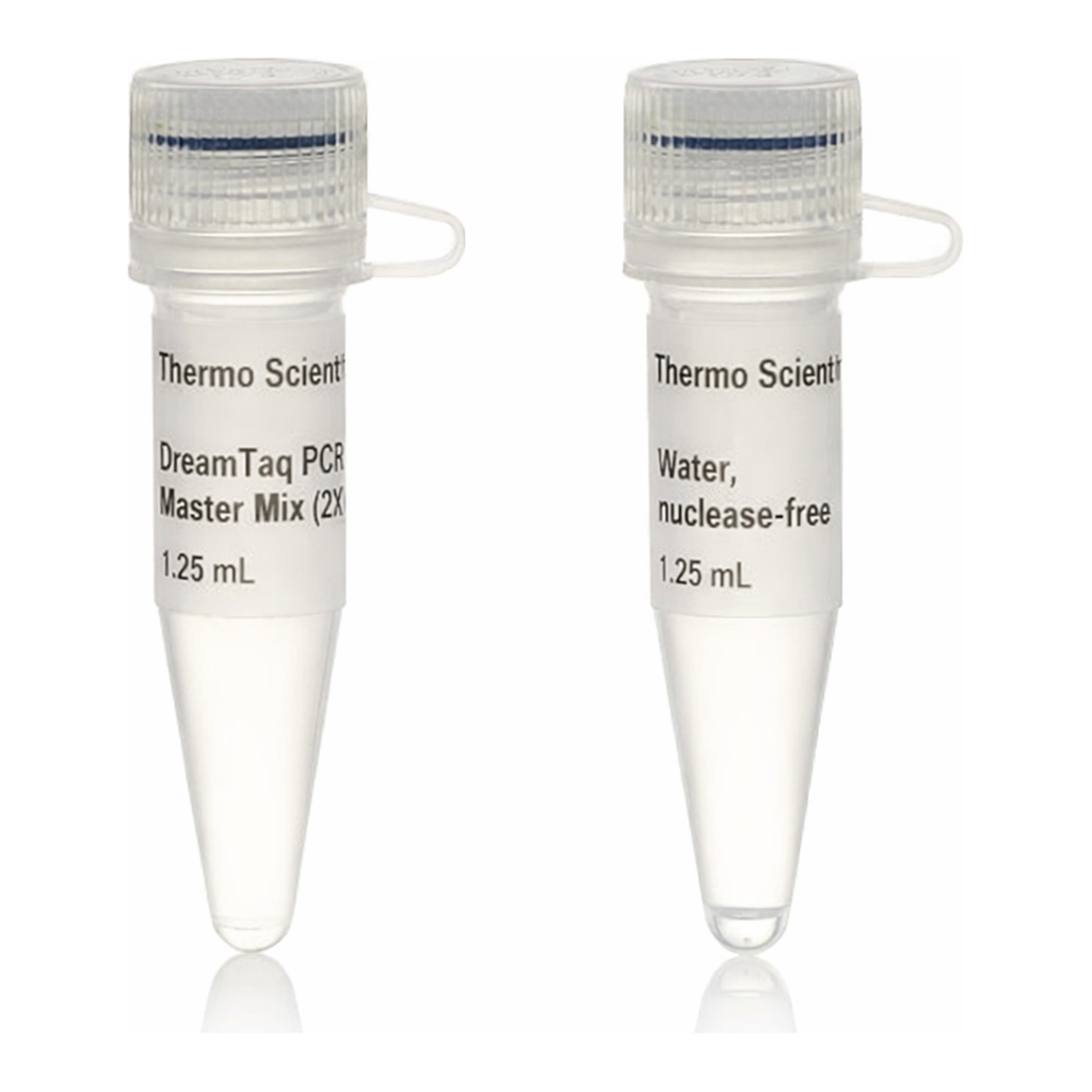 Thermo Fisher Scientific DreamTaq PCR Master Mix (2X), 4 x 1.25 mL