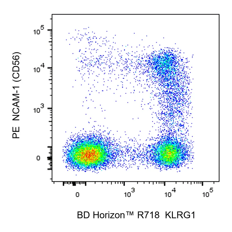 BD R718 Mouse Anti-Human KLRG1
