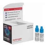 Thermo Fisher Scientific Vybrant DyeCycle Violet Ready Flow Reagent