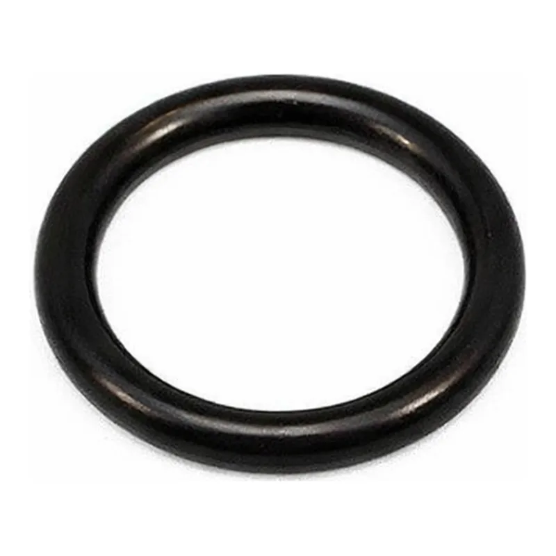 Merck ACE O-RINGS, FETFE(R) WALL SIZE 2.6 MM,&