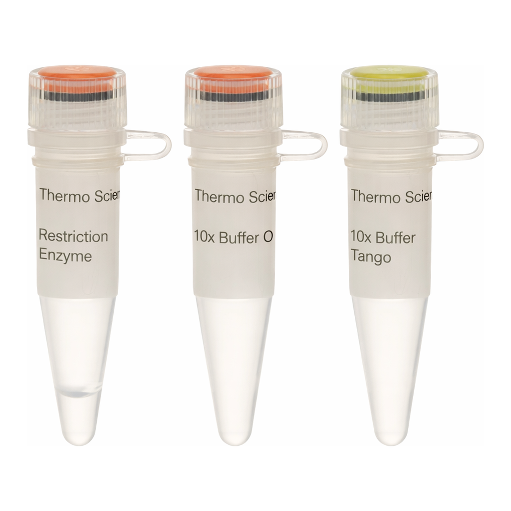 Thermo Fisher Scientific BseJI (BsaBI) (10 U/&mu;L)