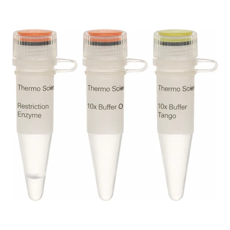 Thermo Fisher Scientific BseJI (BsaBI) (10 U/μL)