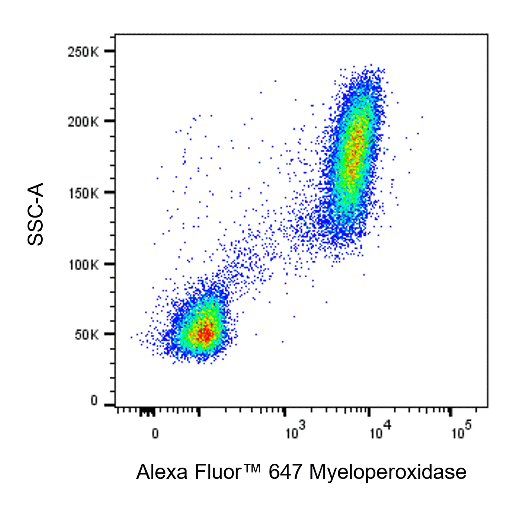 BD Alexa Fluor 647 Mouse Anti-Human Myeloperoxidase