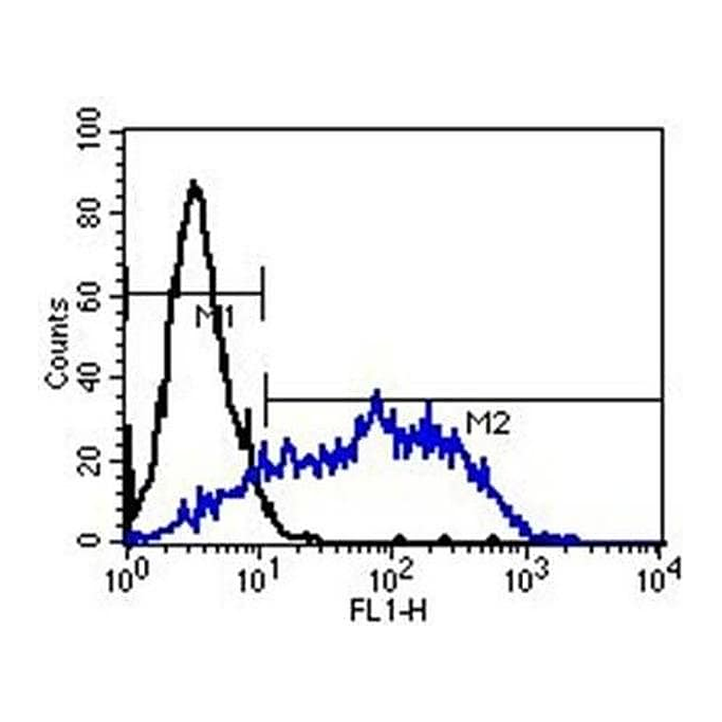Thermo Fisher Scientific Goat anti-Mouse IgM Secondary Antibody, FITC