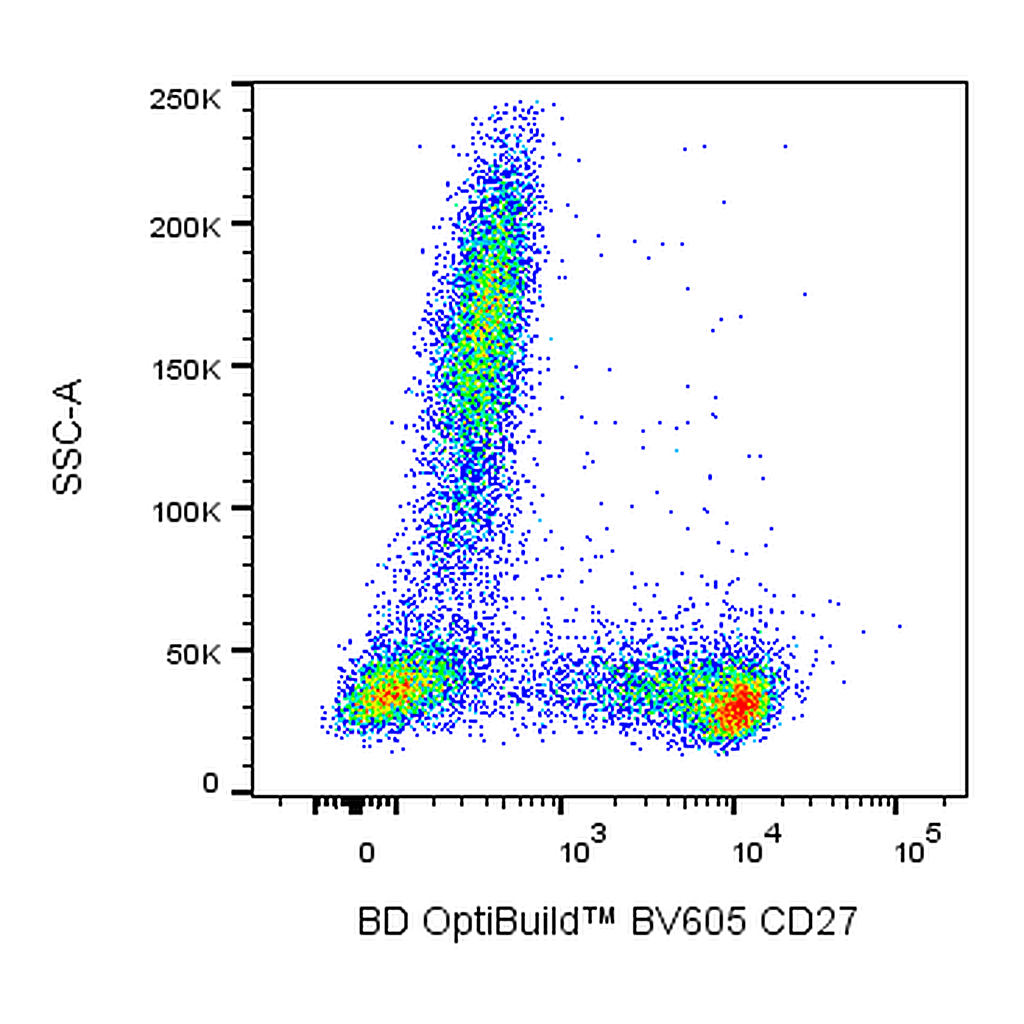BD BV605 Mouse Anti-Human CD27