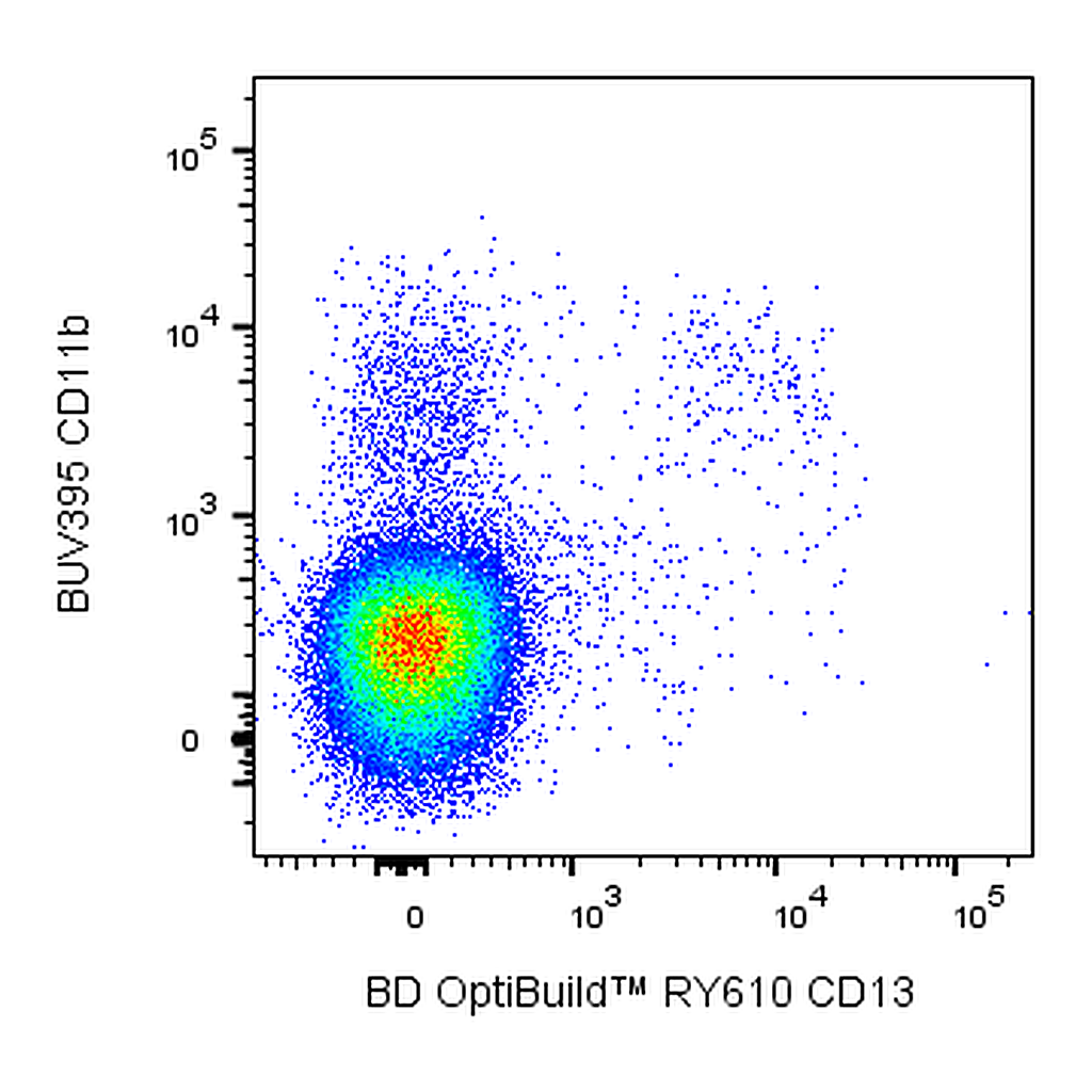 BD RY610 Rat Anti-Mouse CD13
