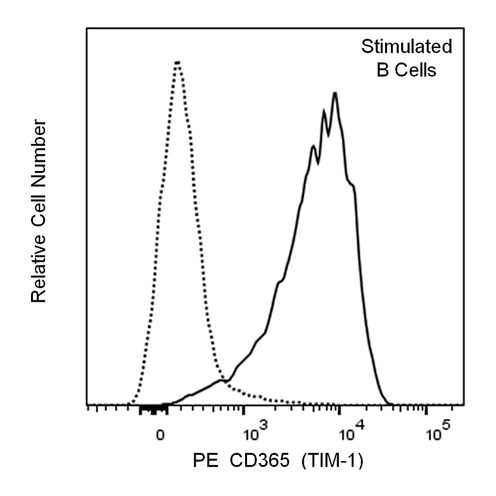 BD PE Rat Anti-Mouse CD365 (TIM-1)