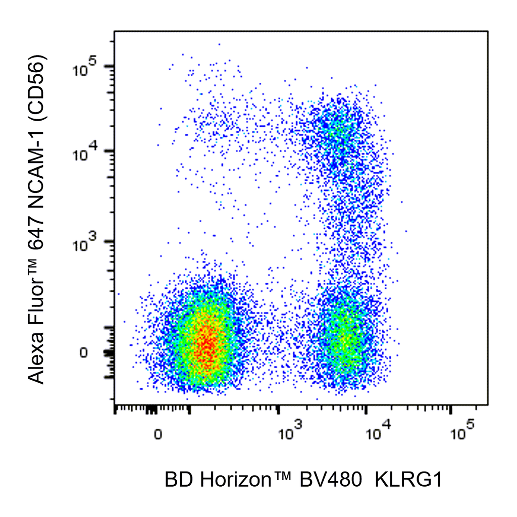 BD BV480 Mouse Anti-Human KLRG1