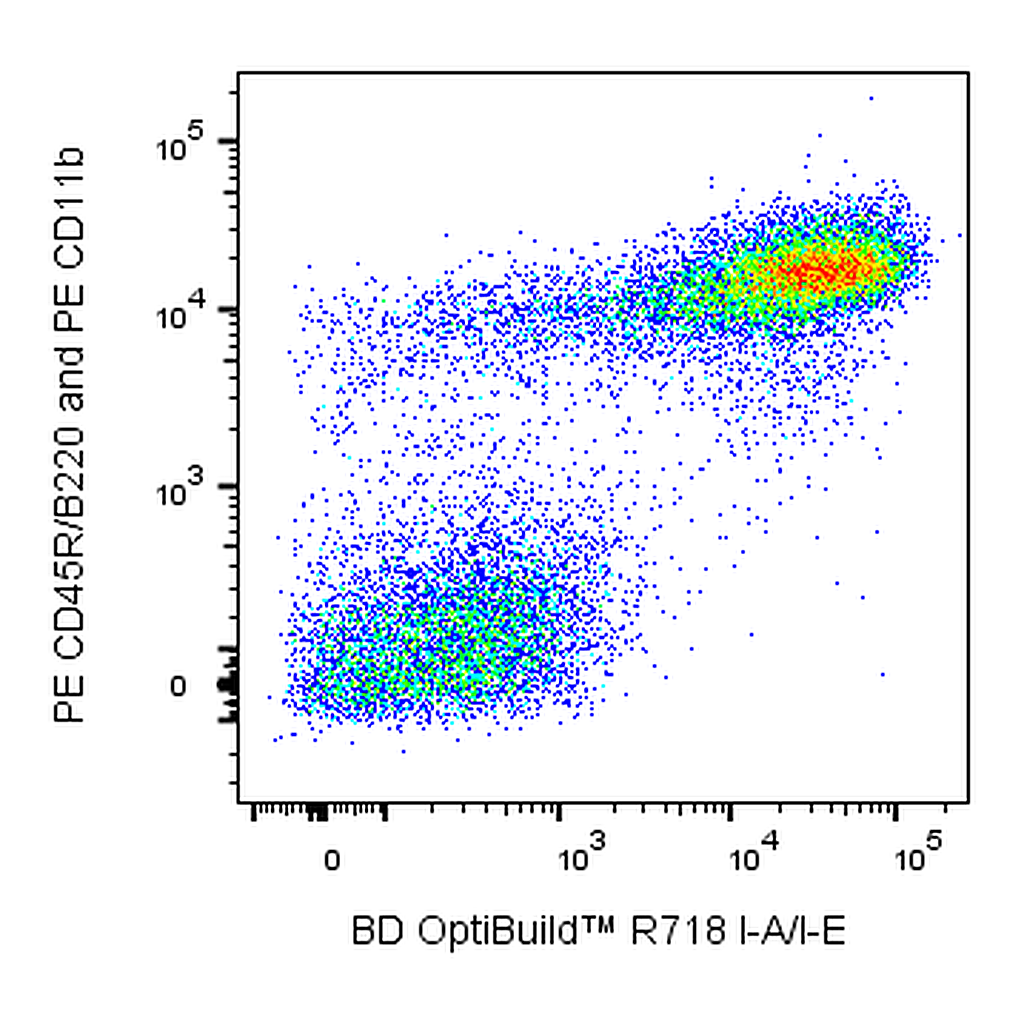 BD R718 Rat Anti-Mouse I-A/I-E