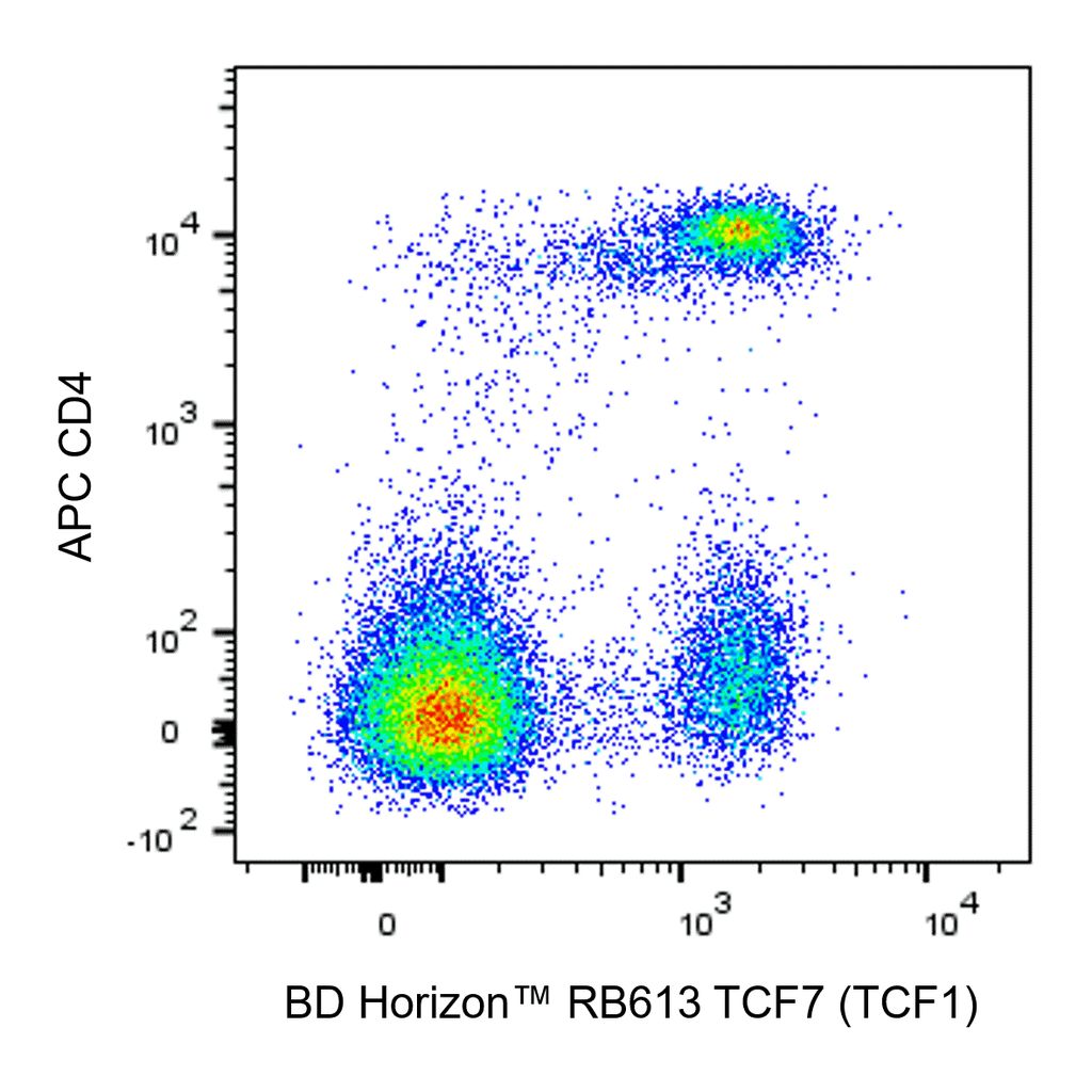 BD RB613 Mouse Anti-TCF7 (TCF1)
