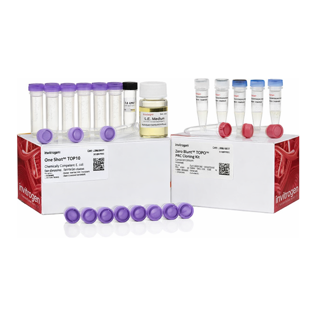 Thermo Fisher Scientific Zero Blunt TOPO PCR Cloning Kit, with One Shot TOP10 Chemically Competent E. coli cells, 25 Reactions