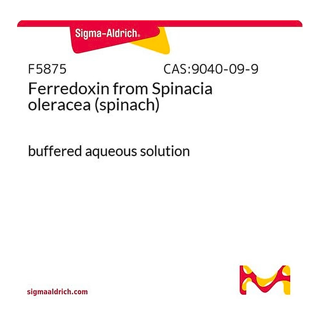 Merck Ferredoxin from Spinacia oleracea (spinach)