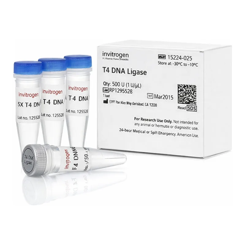 Thermo Fisher Scientific T4 DNA Ligase (1 U/μL), 100 U