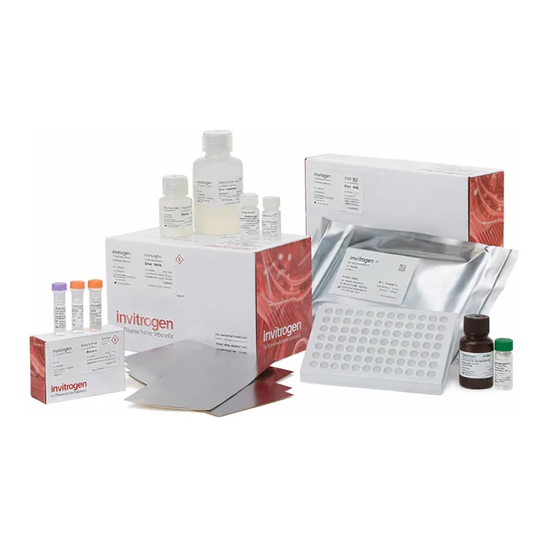 Thermo Fisher Scientific QuantiGene Singleplex HT Assay Kit