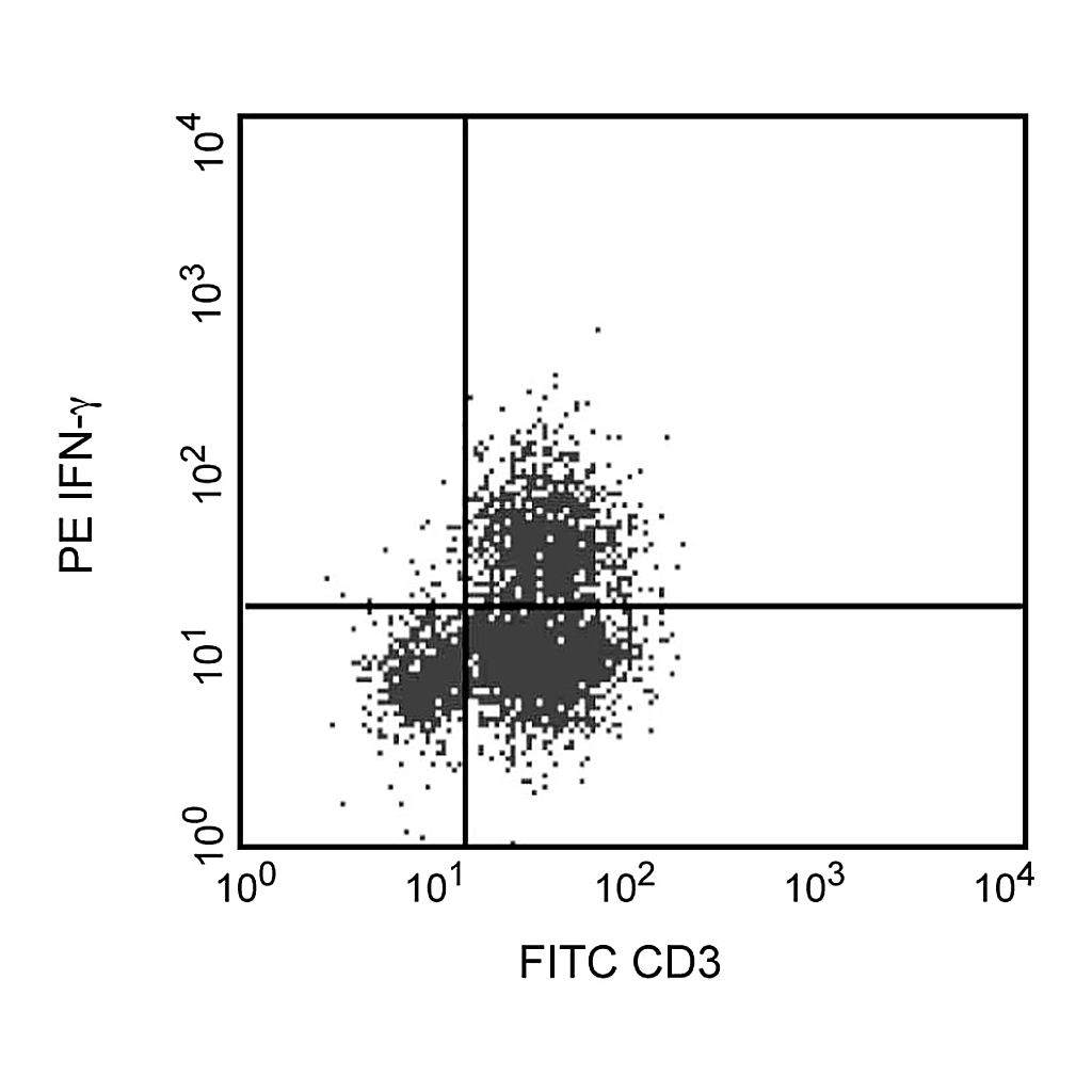 BD PE Mouse Anti-Human IFN-γ