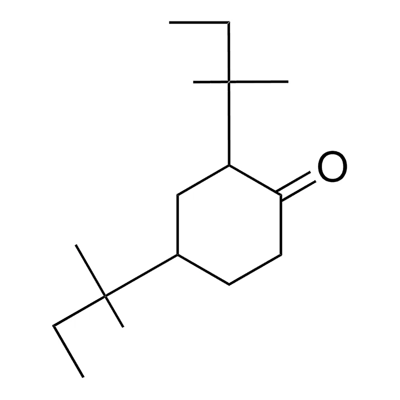 Merck 2,4-DI(TERT-PENTYL)CYCLOHEXANON-
