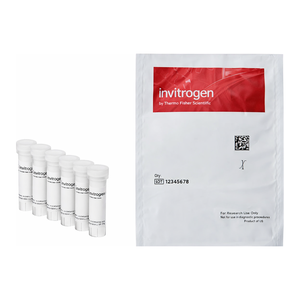 Thermo Fisher Scientific FluoSpheres Size Kit #1, Carboxylate-modified Microspheres, red fluorescent (580/605), 2% solids, six sizes
