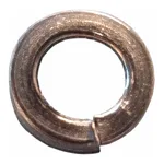 Waters Washer, Spring, M2, 10/pk