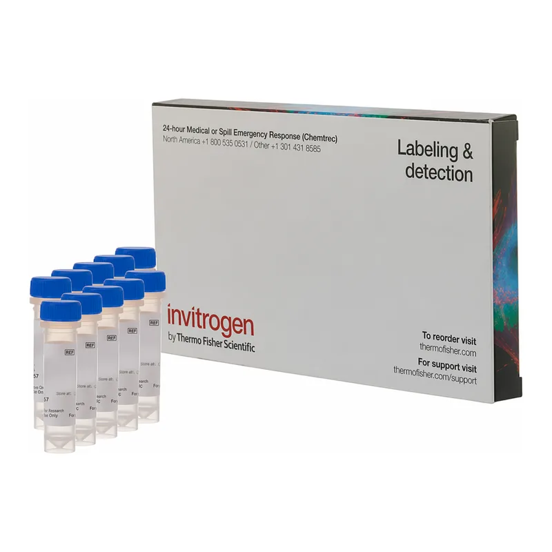 Thermo Fisher Scientific FM 1-43FX, fixable analog of FM 1-43 membrane stain
