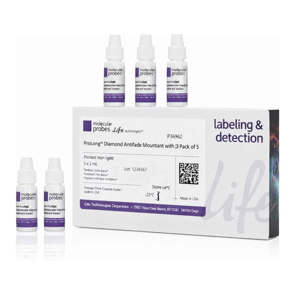 Thermo Fisher Scientific ProLong Diamond Antifade Mountant with DAPI, 5 x 2 mL