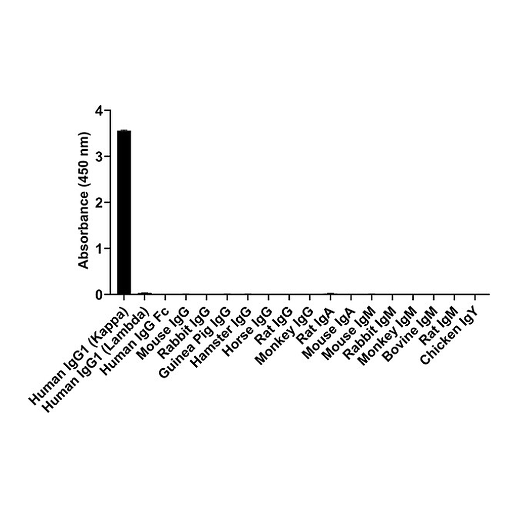 Thermo Fisher Scientific Goat anti-Human IgG (Kappa light chain) Recombinant Secondary Antibody, HRP