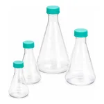 Erlenmeyer Flask