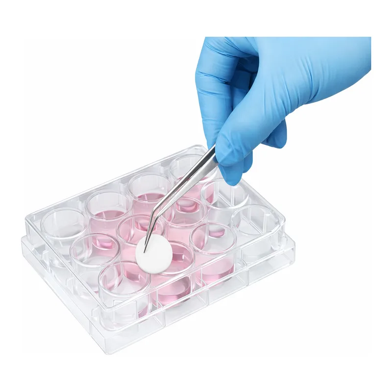 3D Cell Culture Plate