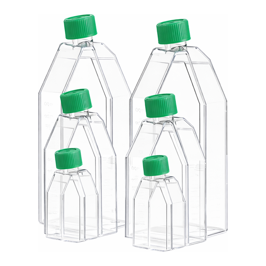 Cell Culture Flask