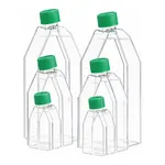 Cell Culture Flask