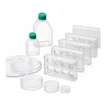 Laminin Coated Ware
