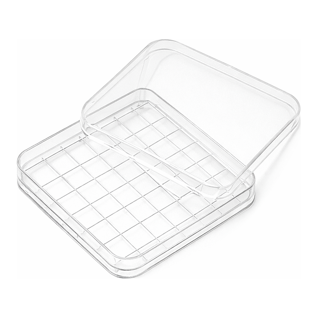 Square Dish