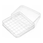 Square Dish