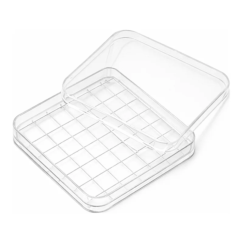 Square Dish