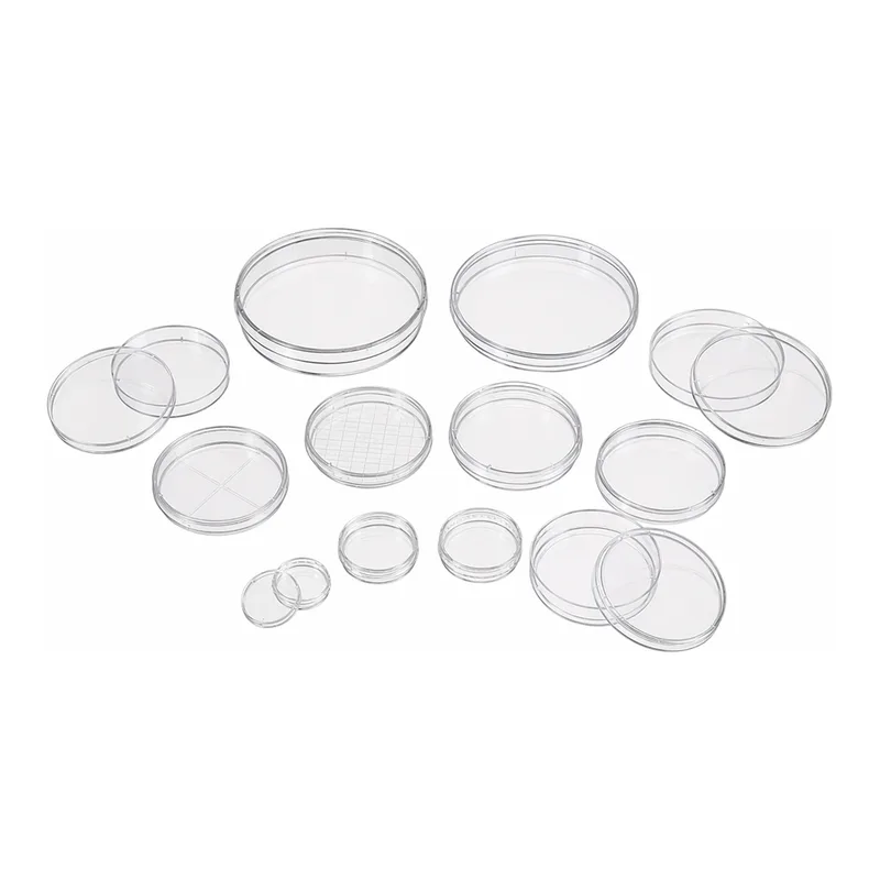 Petri Dish
