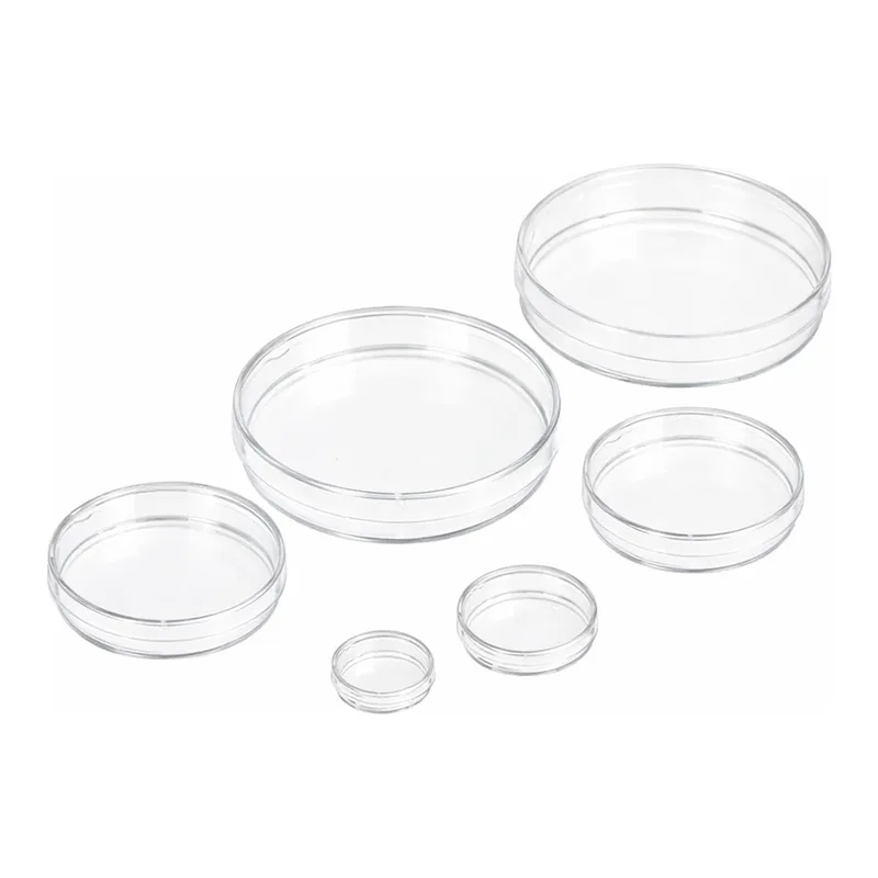 Cell Culture Dish