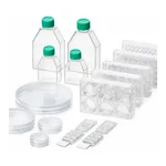 Poly-D-Lysine Coated Ware