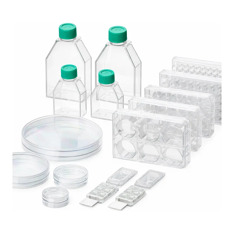 Poly-D-Lysine Coated Ware