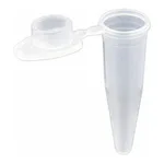 PCR Tube