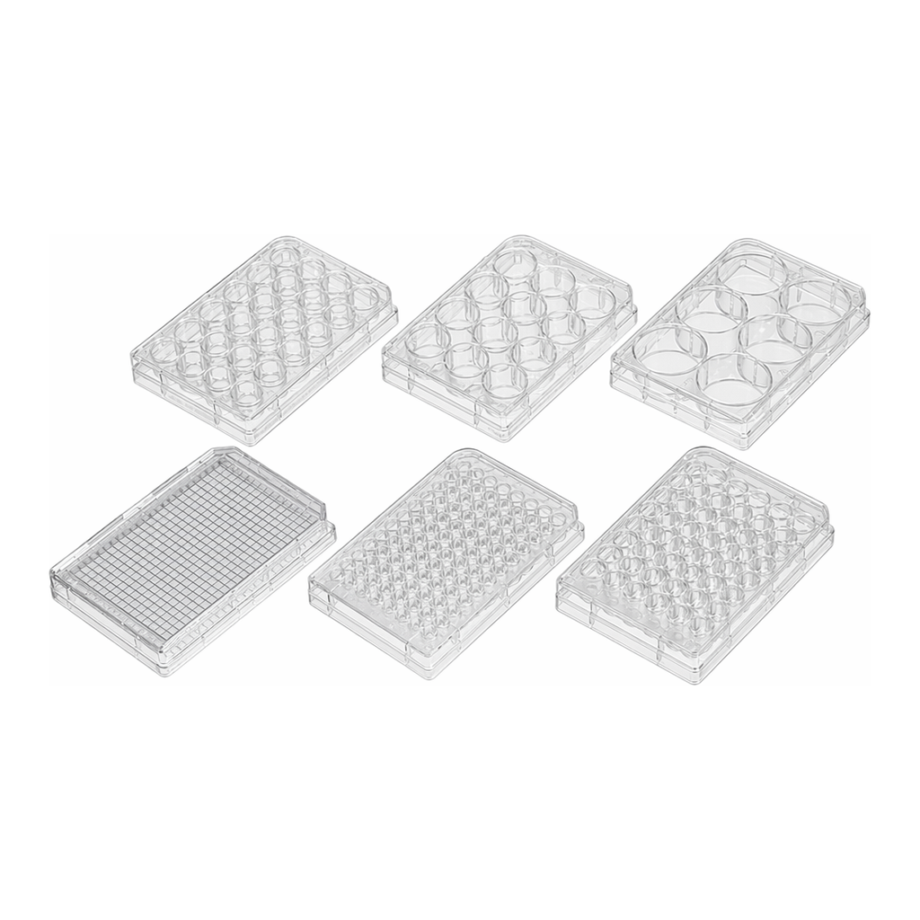 Cell Culture Plate